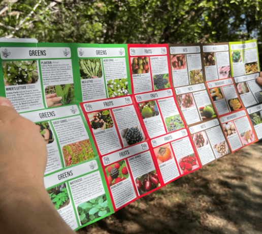 Inside The Foldable Forager