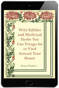 Medicinal Garden Kit Bonus2