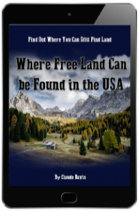 Self Sufficient Backyard Bonus3