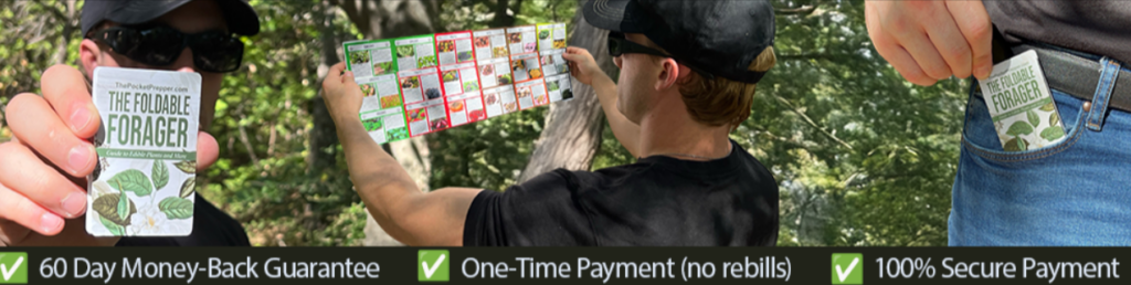 The Foldable Forager Certifications