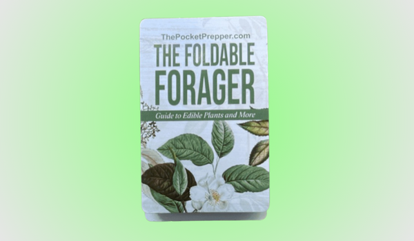 The Foldable Forager Reviews
