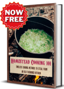 The Lost Frontier Handbook Bonus3