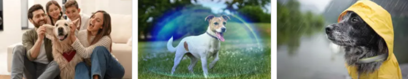 Barxbuddy BiteShield Collar Benefits