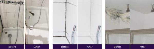 NuroClean Mold Remover Gel Benefits